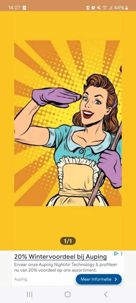 Schoonmaakster zoekt adresjes, Vacatures, Vacatures | Schoonmaak en Facilitaire diensten, Vanaf 10 jaar, Overige vormen, 33 - 40 uur