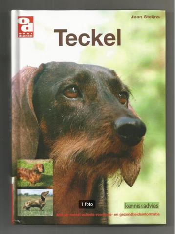 Teckel - Jean Steijns  beschikbaar voor biedingen