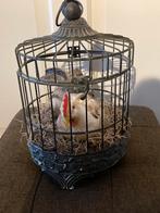 Kip in kooi, Ophalen of Verzenden, Zo goed als nieuw, Rond, Overige materialen