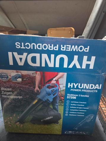 Hyunndai bladblazer beschikbaar voor biedingen