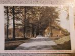 Oude briefkaart Echoputhuis, Hoog-Soeren, Ophalen of Verzenden, Voor 1920, Gelopen