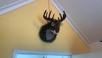 Pluchen Eland kop voor aan de muur, troffee knuffel