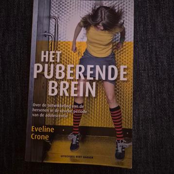 Het Puberende Brein - Eveline Crone beschikbaar voor biedingen