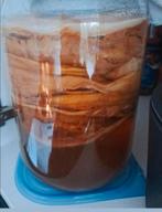Kombucha SCOBY - Zelf Kombucha Maken!, Ophalen