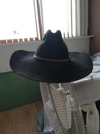 orginele stetson cowboy hoed., Ophalen of Verzenden, Zo goed als nieuw