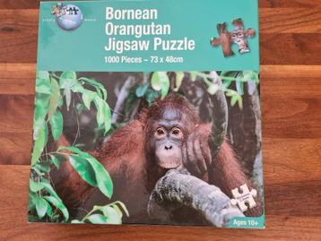 Orang oetan.                 Puzzel.  beschikbaar voor biedingen
