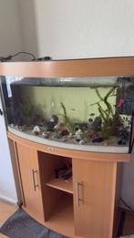 JUWEL VISION 180, Ophalen, Gebruikt, Leeg aquarium