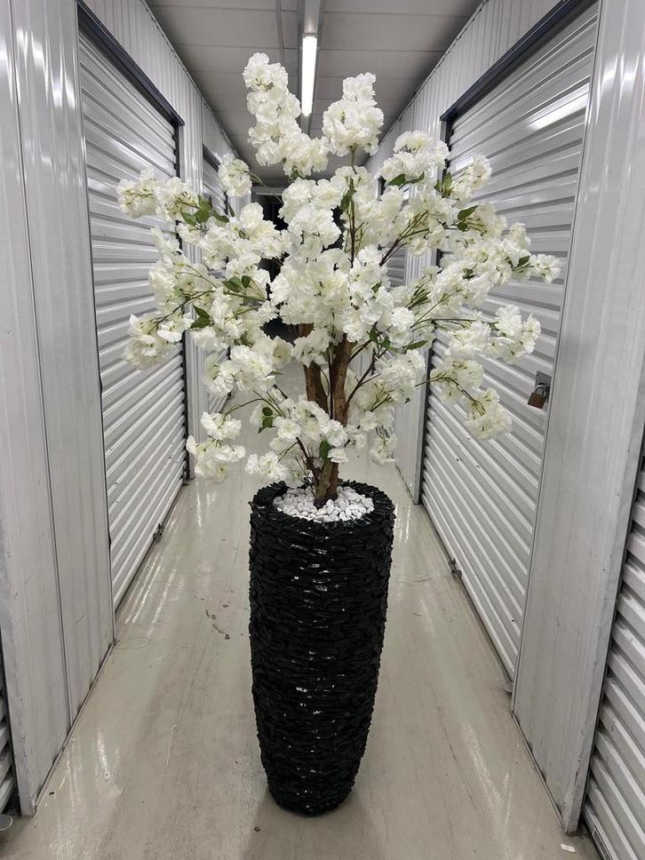 Prachtig schelpenvazen met bloesemboom, Huis en Inrichting, Woonaccessoires | Kunstplanten en Kunstbloemen, Zo goed als nieuw