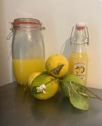 Limoncello., Ophalen of Verzenden