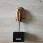 mooie schild schildpad nep deco op staander life style, Verzamelen, Ophalen of Verzenden, Nieuw, Overige typen