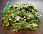Hedera Helix 12 x 2,2 meter, Ophalen of Verzenden