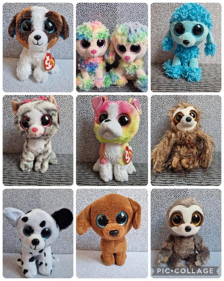 Ty beanie boo honden poedel dalmatier poes   luiaards, Kinderen en Baby's, Speelgoed | Knuffels en Pluche, Zo goed als nieuw, Hond
