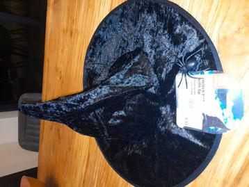 Heksenhoed beschikbaar voor biedingen