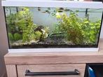 Mooi compleet aquarium (eheim), Dieren en Toebehoren, Vissen | Aquaria en Toebehoren, Ophalen, Zo goed als nieuw, Leeg aquarium