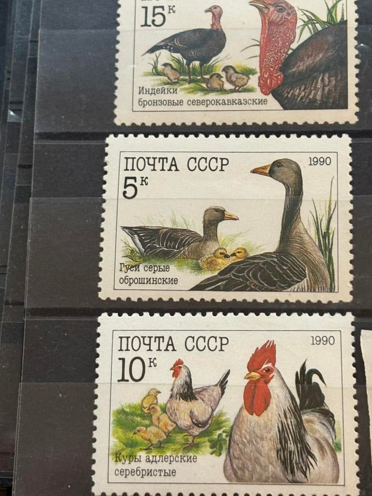 Vogel, Sovjet-Unie 1990, Ophalen of Verzenden, Postfris, Dier of Natuur