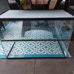 Glazen terrarium 73x40x50  geschikt knaagdieren/reptielen, Dieren en Toebehoren, Reptielen en Amfibieën | Toebehoren, Ophalen