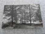 Udenhout circa 1965 Beukenhof, Verzamelen, Ansichtkaarten | Nederland, Ophalen of Verzenden, 1960 tot 1980, Ongelopen