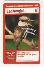 Super dieren no.79 Lachvogel [2714]  [VeOvSu], Albert Heijn, Ophalen of Verzenden