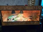 OSB Terrarium 100-50-50 met kappen, Dieren en Toebehoren, Reptielen en Amfibieën | Toebehoren, Ophalen, Zo goed als nieuw
