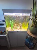 Aquarium AquAtlantis 125 liter, Dieren en Toebehoren, Vissen | Aquaria en Toebehoren, Ophalen, Zo goed als nieuw, Leeg aquarium