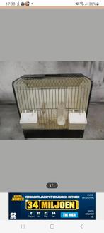 Tt kooi tentoonstelling kooi, Dieren en Toebehoren, Ophalen of Verzenden, Gebruikt, Hout, Vogelkooi
