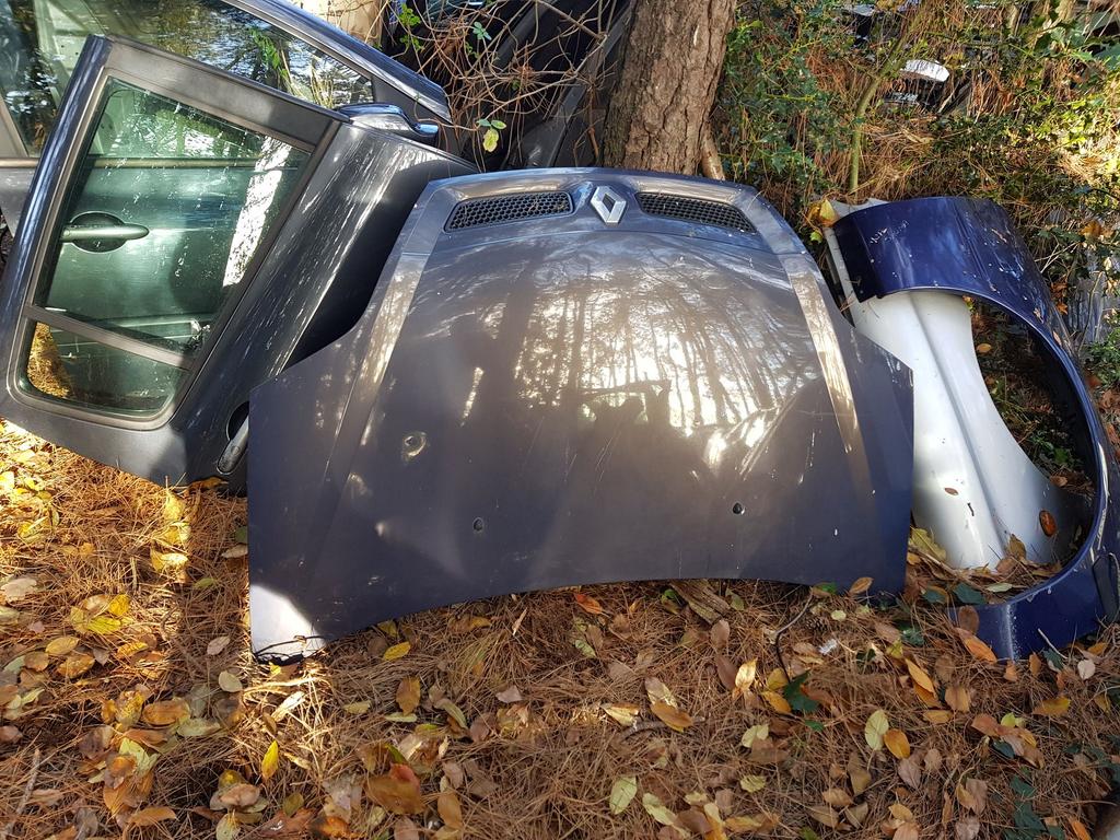 RENAULT SCENIC MOTORKAP BJ 2001 TOT 2003, Auto-onderdelen, Gebruikt, -, -, Ophalen of Verzenden