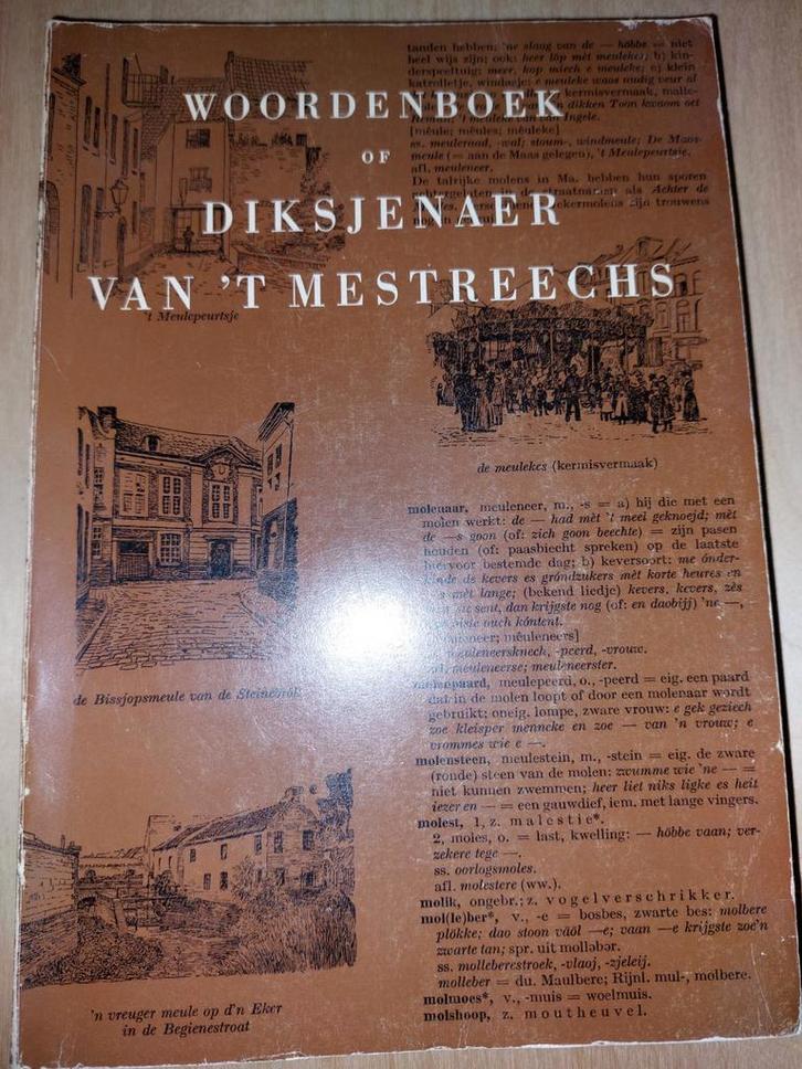 Woordenboek Diksjenaer van 't Mestreechs, Boeken, Woordenboeken, Gelezen, Nederlands, Overige uitgevers, Ophalen of Verzenden
