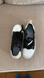 Mooi sport schoen voor skate, Ophalen of Verzenden, Zo goed als nieuw, Schoenen