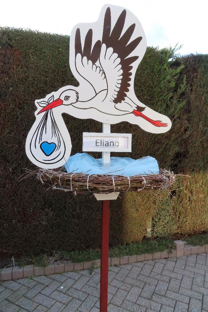 Geboorteborden voor jongen of meisje of ooievaar op nest., Kinderen en Baby's, Kraamcadeaus en Geboorteborden, Nieuw, Geboortebord