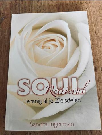 Soul Retrieval - Sandra Ingerman beschikbaar voor biedingen