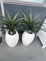 Bloempotten voor buiten!, Ophalen, Gebruikt, Rond, Minder dan 25 cm