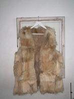 Vintage Bont Gilet maat XL, Kleding | Dames, Ophalen of Verzenden, Zo goed als nieuw, Maat 46/48 (XL) of groter, Beige