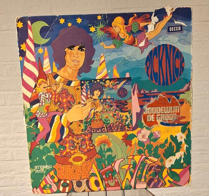 Boudewijn de Groot - Picknick LP Decca, Cd's en Dvd's, Vinyl | Pop, Gebruikt, Voor 1960, 12 inch, Ophalen of Verzenden