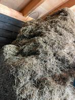 Hooi, grote vierkante balen grasdrogerij, Dieren en Toebehoren, Dierenvoeding, Ophalen, Vee