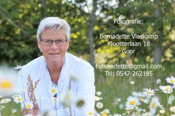 Fotoshoot Gezinsreportage Familiefoto's   Fotograaf beschikbaar voor biedingen