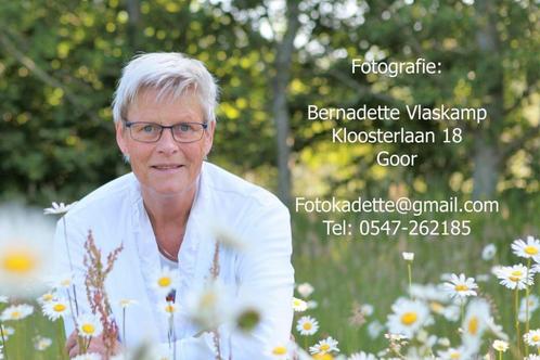 Fotoshoot Gezinsreportage Familiefoto's   Fotograaf, Hobby en Vrije tijd, Overige Hobby en Vrije tijd, Nieuw, Ophalen