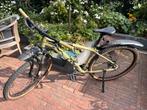 Mountainbike Cube race aim , 29 inch, Fietsen en Brommers, Fietsen | Mountainbikes en ATB, Gebruikt, Hardtail, Heren, 53 tot 57 cm