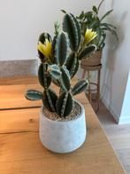 Kunst cactus 30 cm, Ophalen, Zo goed als nieuw, Binnen