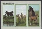 Nijverdal Groeten 3 luik Paarden Gelopen Zegel 70 ct, Verzenden, 1980 tot heden, Gelopen, Overijssel