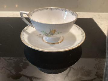Royal York Fine Bone China Kop en Schotel beschikbaar voor biedingen