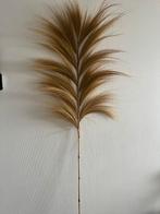 Rayung palm/pluim gras, Huis en Inrichting, Woonaccessoires | Kunstplanten en Kunstbloemen, Ophalen, Zo goed als nieuw, Binnen