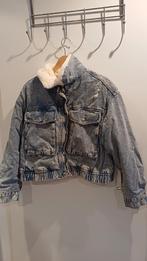 Winterjas Dames XL, Ophalen of Verzenden, Zo goed als nieuw, Maat 46/48 (XL) of groter, Zwart