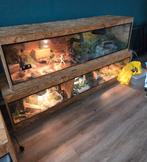 OSB terrarium 200/50/50 
incl 3 ramen met 3 keramische fitti, Dieren en Toebehoren, Reptielen en Amfibieën | Toebehoren, Ophalen