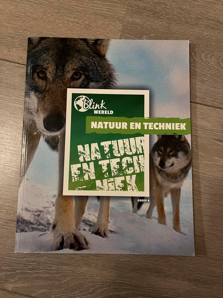 Blink Wereld groep 8- Aardrijkskunde & Natuur en Techniek, Boeken, Schoolboeken, Zo goed als nieuw, Aardrijkskunde, Overige niveaus