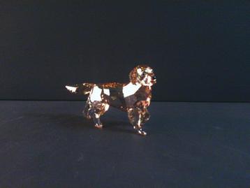 Swarovski Golden Retriever Moeder beschikbaar voor biedingen