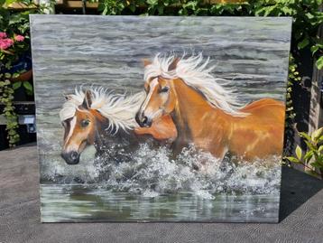 mooi schilderij paarden in het water (haflingers) beschikbaar voor biedingen