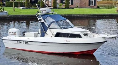 Renken Seamaster 2008WA / Evinrude 250PK V6 / Boot, Visboot, Watersport en Boten, Accessoires en Onderhoud, Zo goed als nieuw