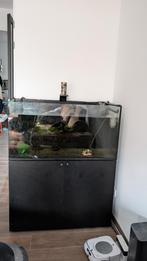 Aquarium set 200 liter, Ophalen, Gebruikt, Leeg aquarium
