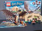 Lego minifig Harry Potter 75946 Hongaarse Hoornstaart, Kinderen en Baby's, Speelgoed | Duplo en Lego, Ophalen of Verzenden, Zo goed als nieuw