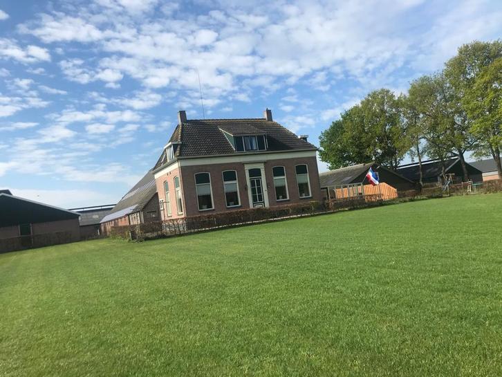 Pensionstal 1 box vrij, Dieren en Toebehoren, Stalling en Weidegang, Weidegang